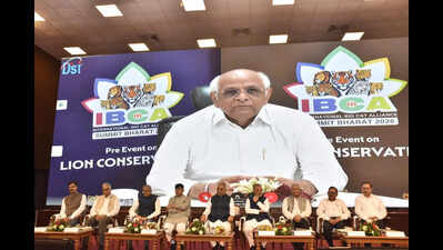 Asiatic lion conservation in focus at IBCA 2026 pre-event