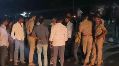 Lion cub killed in highway accident near Rajula