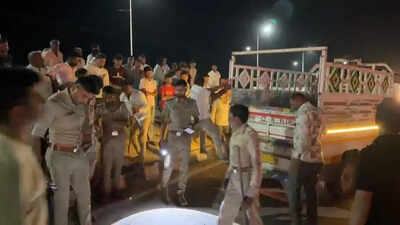 Lion cub killed in highway accident near Rajula