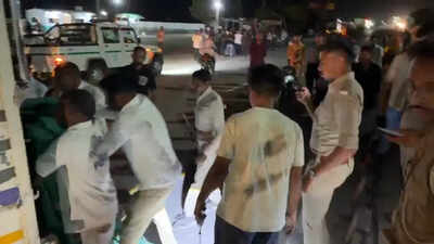 Lion cub killed in highway accident near Rajula