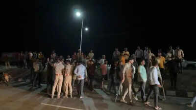 Lion cub killed in highway accident near Rajula