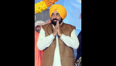 Punjab CM Bhagwant Mann, Western Army commander discuss border security, disaster response
