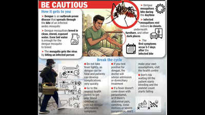 Goa sees decline in dengue cases with health centres stepping up efforts