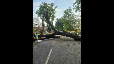 ​Devastating storm across UP claims 117 lives, damages homes & livestock across UP