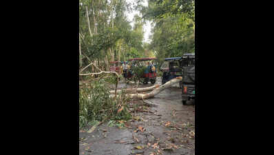 ​Devastating storm across UP claims 117 lives, damages homes & livestock across UP