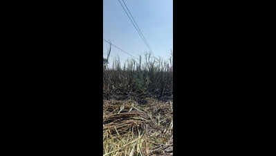 Power supply hit in multiple areas of Pune hit over fault in MSETCL’s EHV line