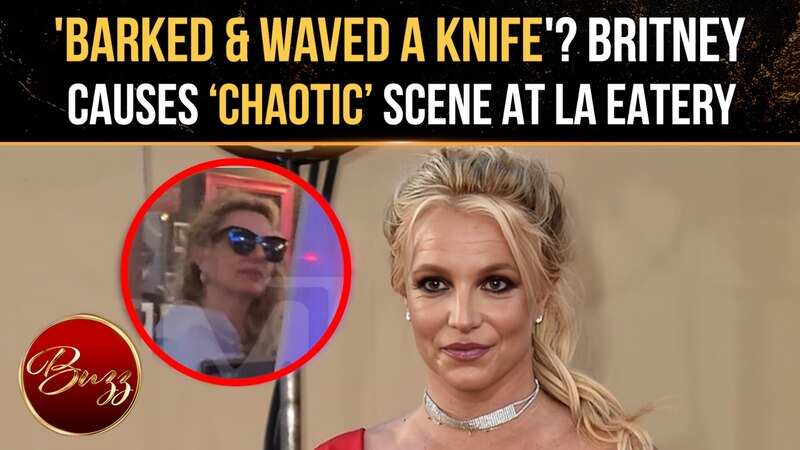 Britney Spears Accused Of Barking, Yelling & Waving Knife During ...
