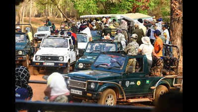 Tadoba may soon change all safari vehicles to electric