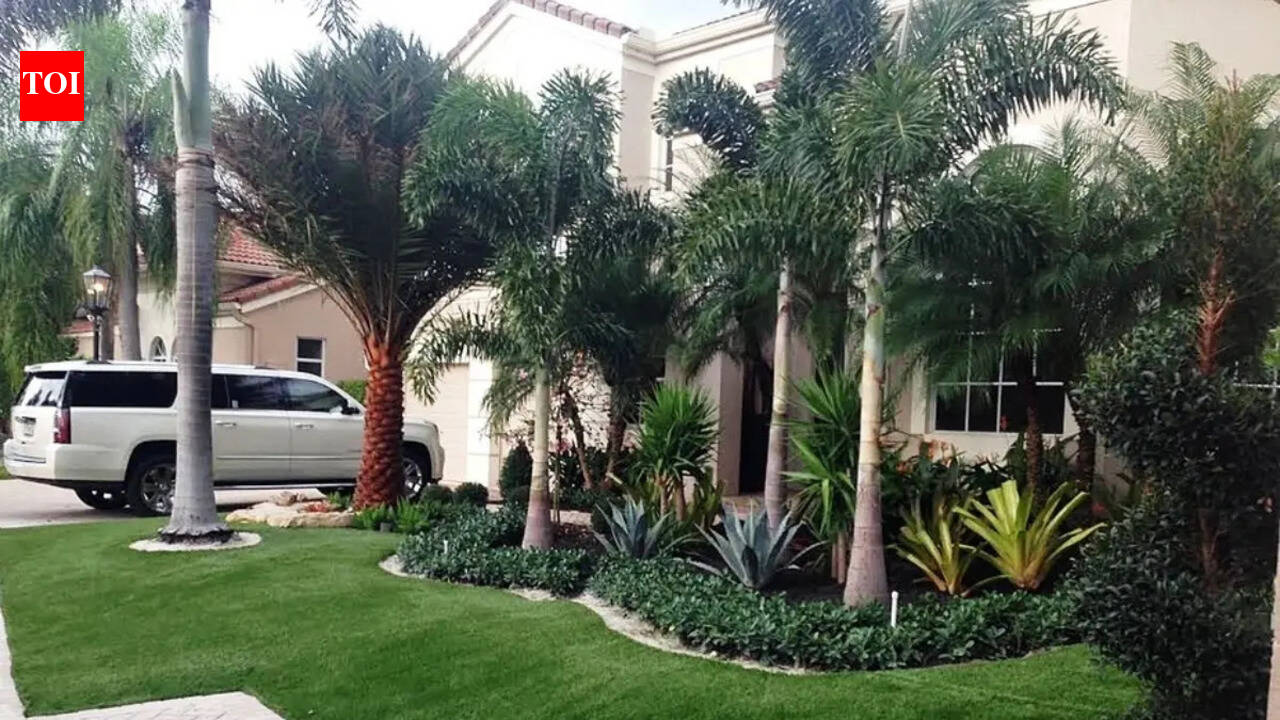 Why some front garden borders look expensive even with fewer plants? Why some front garden borders look expensive even with fewer plants?