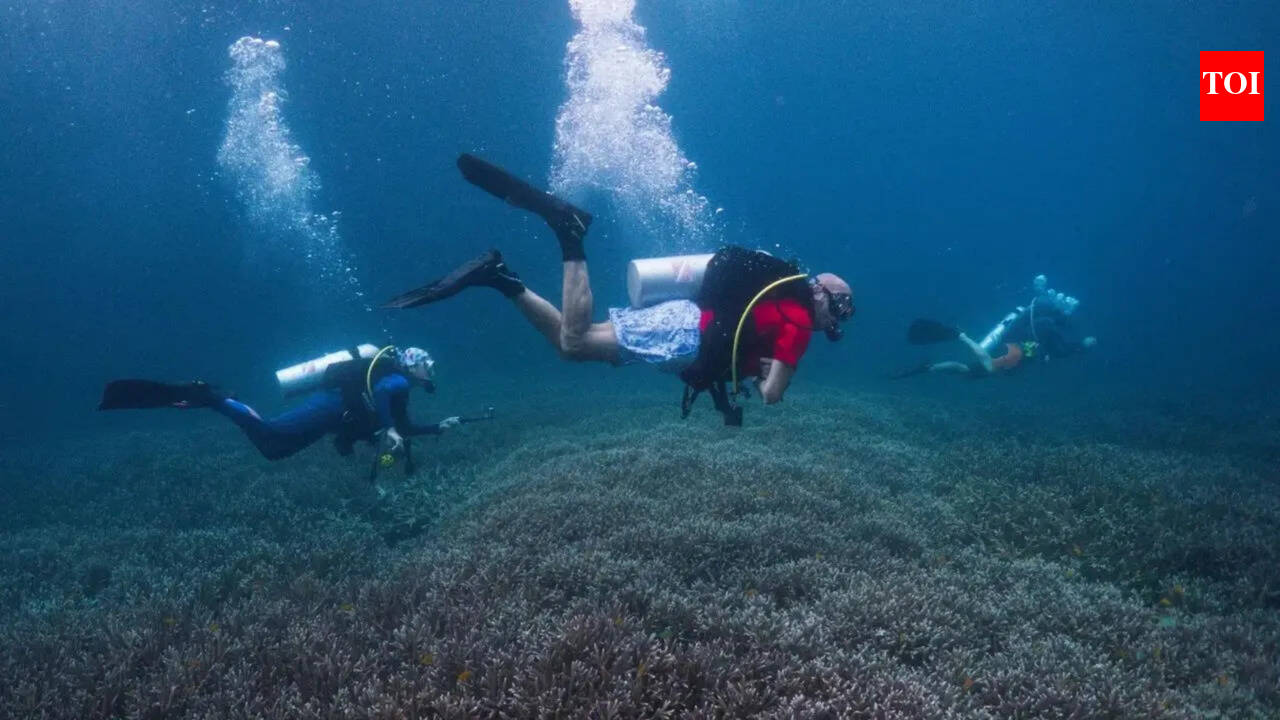 Authorities search waters in the Maldives after 5 Italians were killed in a cave dive accident