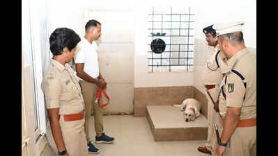 COOLER CARE FOR HAVERI POLICE CANINE UNIT DOGS