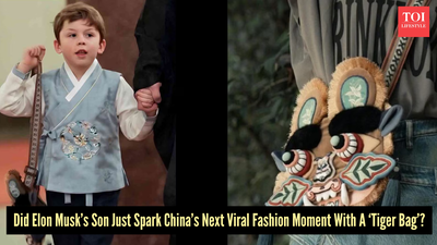 Why is China suddenly fascinated by Elon Musk’s son’s ‘Tiger Bag'?