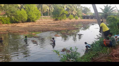 As the Nandini chokes, an 800‑year‑old Kandevu Jatre ritual struggles to survive in Dakshina Kannada