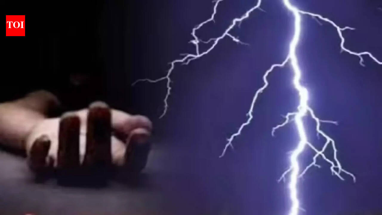 Lightning strikes kill farmer as stormy weather lashes Chhattisgarh
