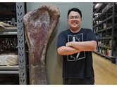 How a villager found Southeast Asia&rsquo;s largest Dinosaur