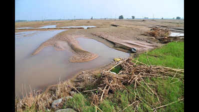 Minor irrigation department to curb illegal silt extraction