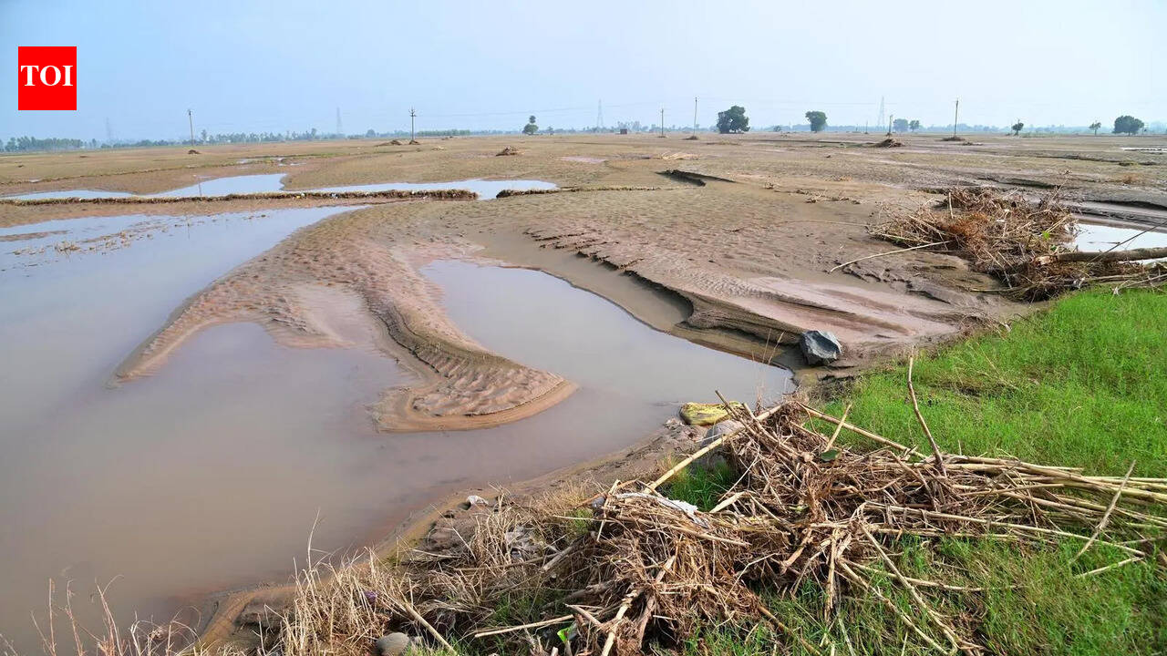 Minor irrigation department to curb illegal silt extraction