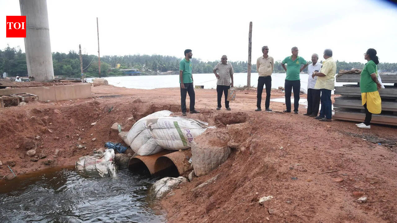 NECF seeks DC’s urgent intervention over bund across Phalguni river