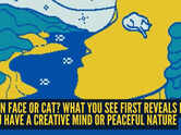 Optical illusion personality test: Human face or cat? What you see first reveals if you have a creative mind or peaceful nature