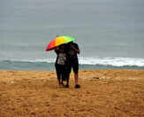 IMD: Pleasant weather to continue in Chennai over weekend