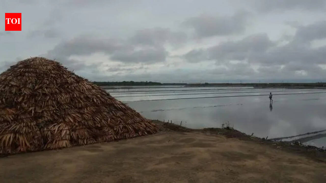Unseasonal rain halts salt production in Vedaranyam