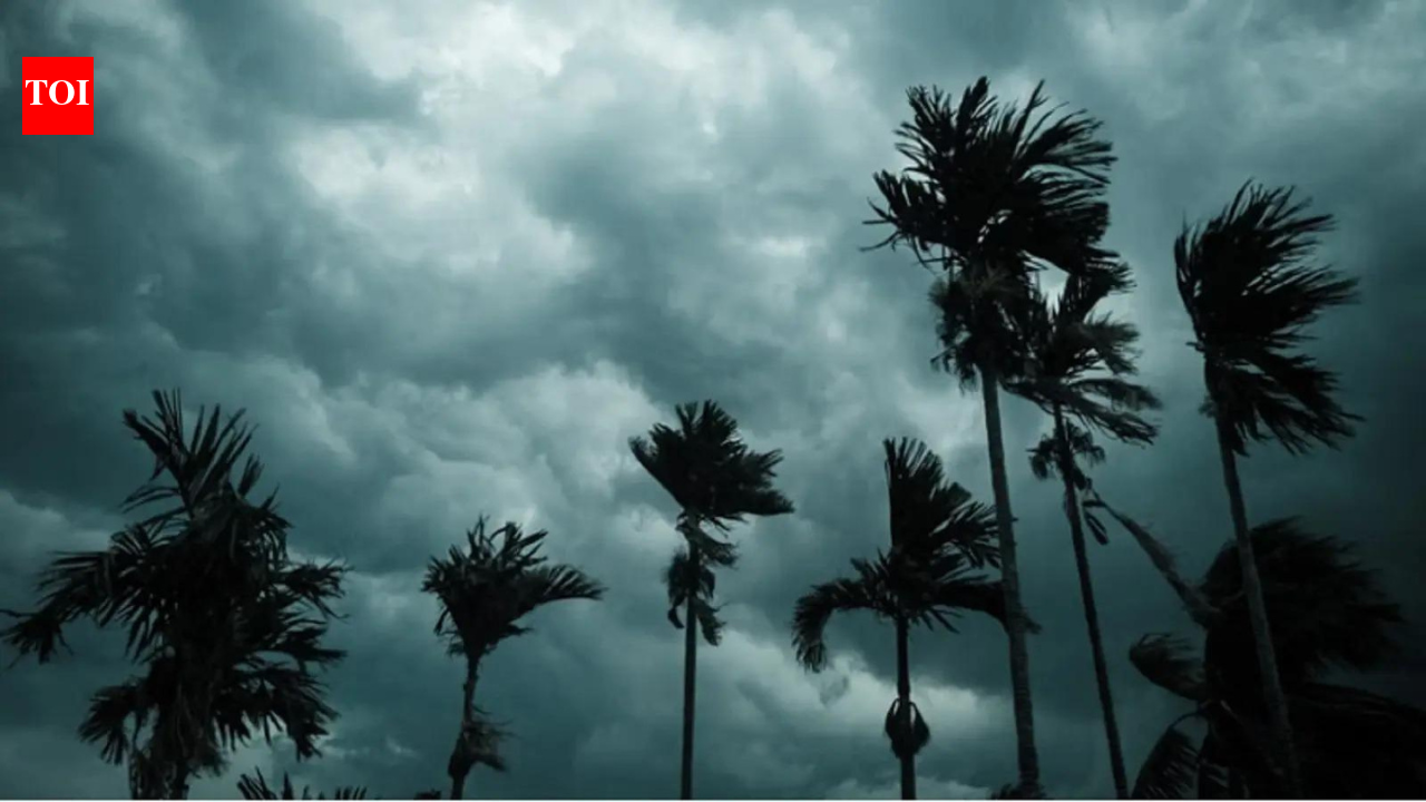 US says El Nino just weeks away, earlier than expected