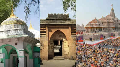 Devotees offer prayers at Bhojshala complex; how principles from Ayodhya verdict paved way for temple