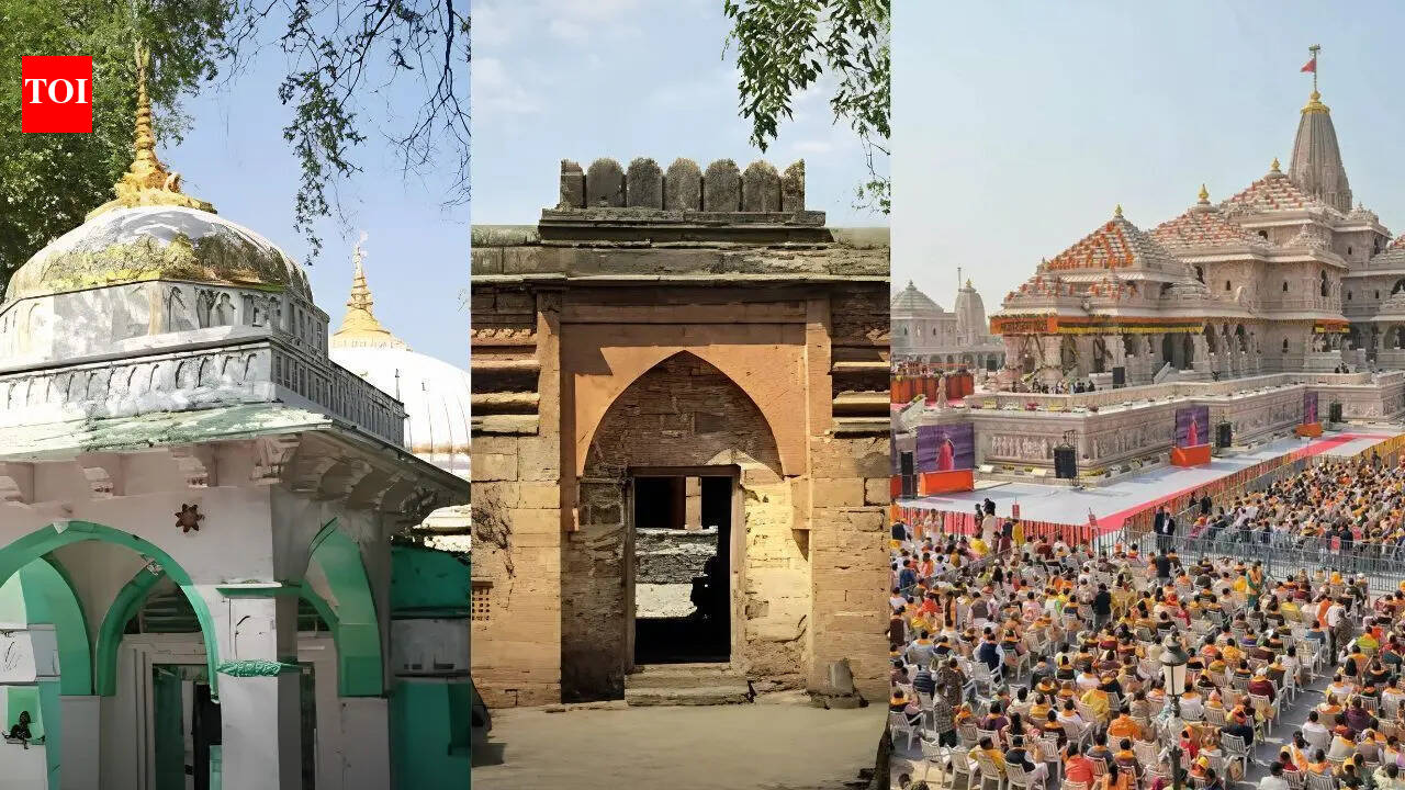 Devotees offer prayers at Bhojshala complex; how principles from Ayodhya verdict paved way for temple
