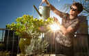 Early morning gardening decreases screen overload