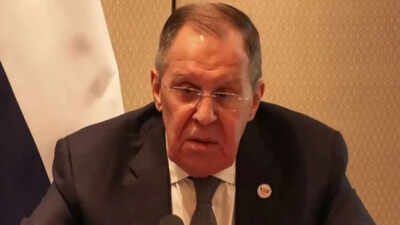 'They will take out a gun': Russia's Lavrov warns journalist on phone during Delhi press briefing - watch