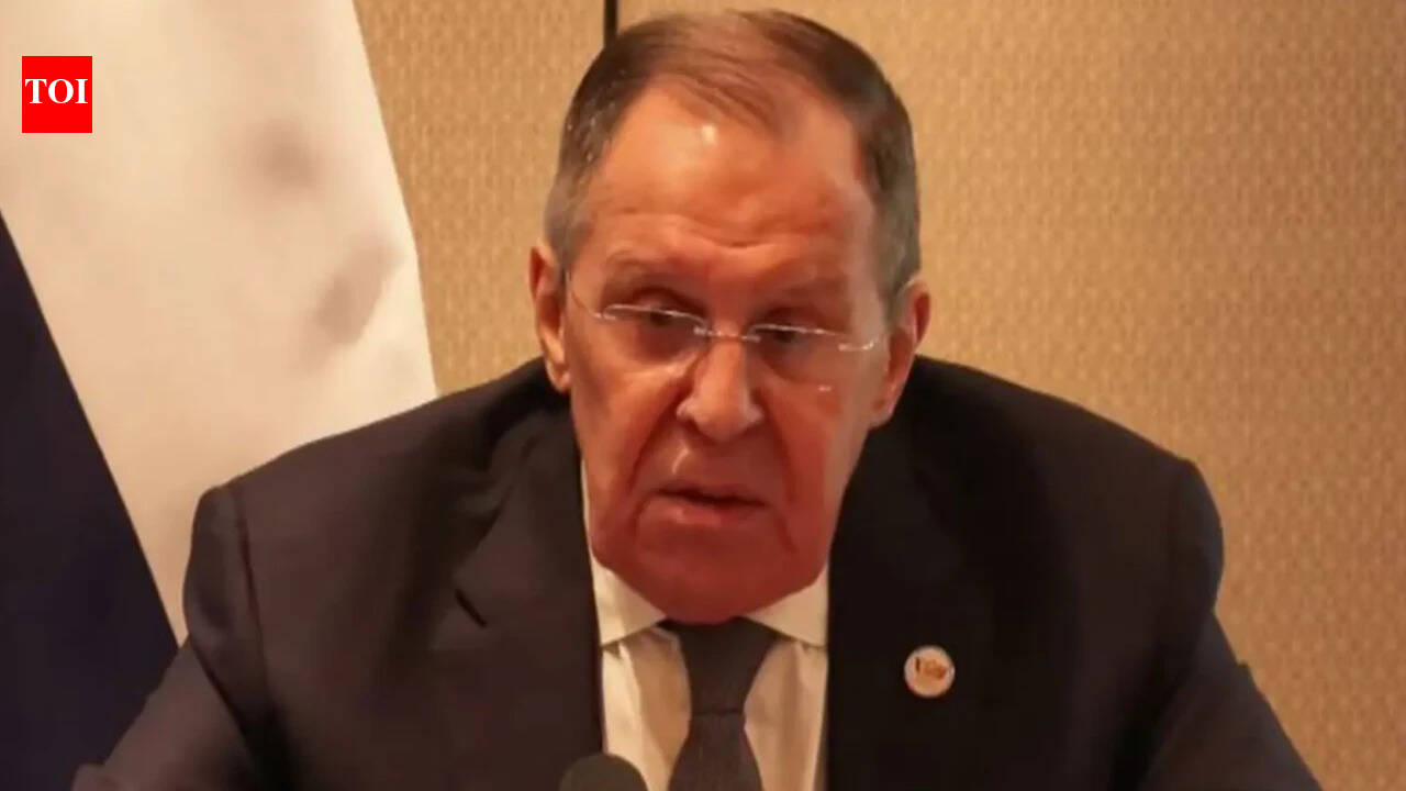 'They will take out a gun': Russia's Lavrov warns journalist on phone during Delhi presser - watch