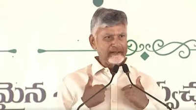 Andhra Pradesh govt to give Rs 30,000 for 3rd child, Rs 40,000 for 4th