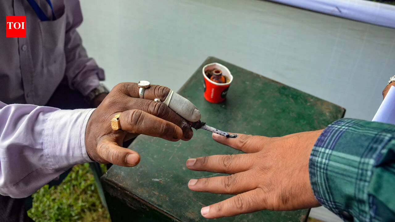 Did foreign nationals vote in Tamil Nadu polls? ECI orders probe after 10 detained at Chennai and Madurai airports