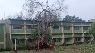 Heavy rain, strong winds damage Bharathiar University MBA block; panel formed to assess old buildings