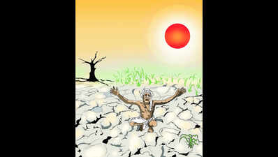 Chamarajanagar officials seek drought relief