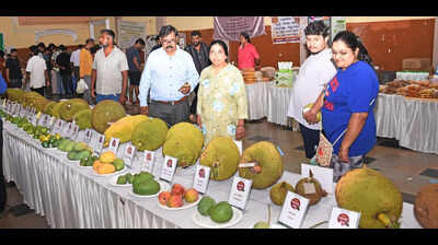 Jackfruit festival promotes consumption of local fruits