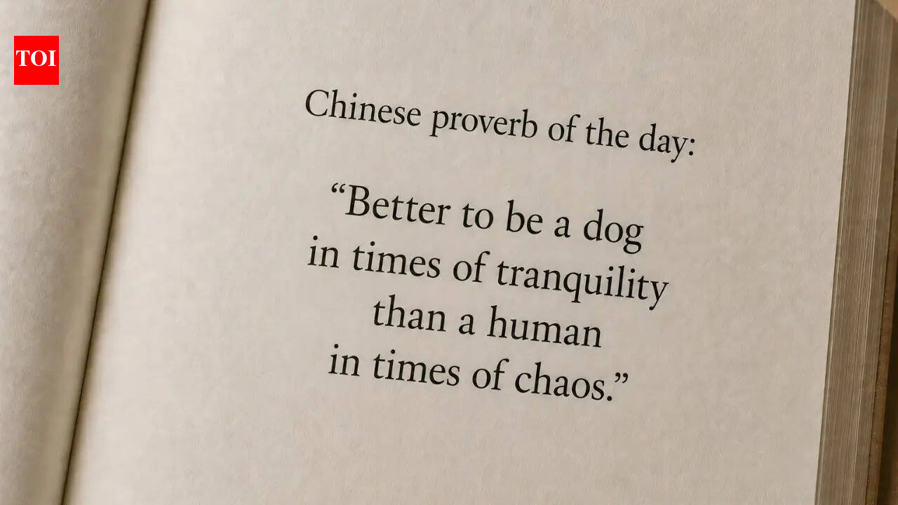 Chinese proverb of the day: “Better to be a dog in times of tranquility than a human in times of chaos.”