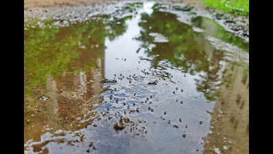 Mumbai civic review highlights mosquito challenge