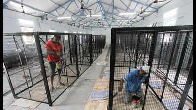 Madurai corpn to modernise dog shelter at Rs 14 lakh