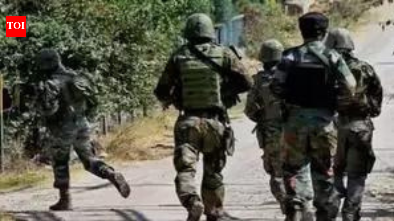 Anti-terror search operation launched across J&amp;K’s Poonch district