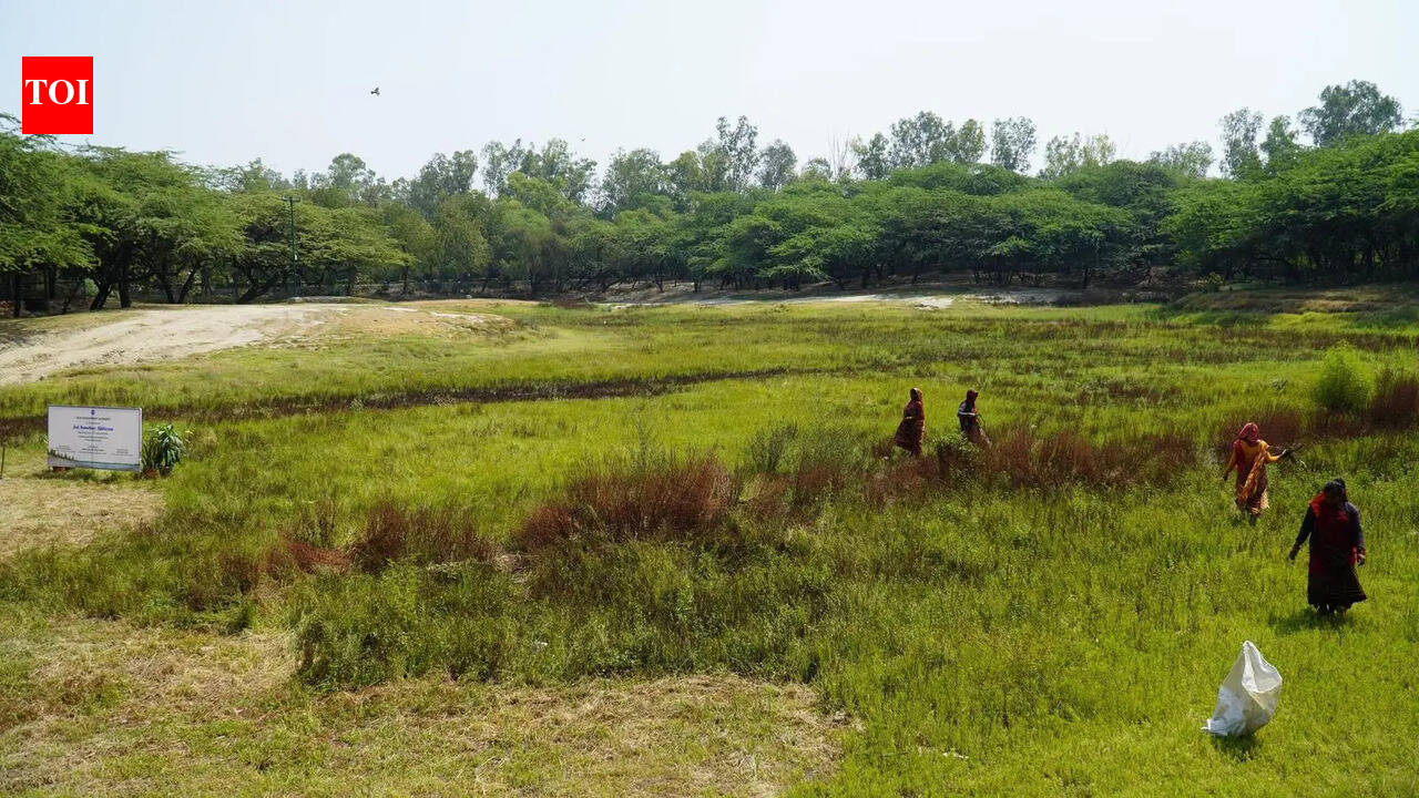 DDA starts recharging 101 waterbodies