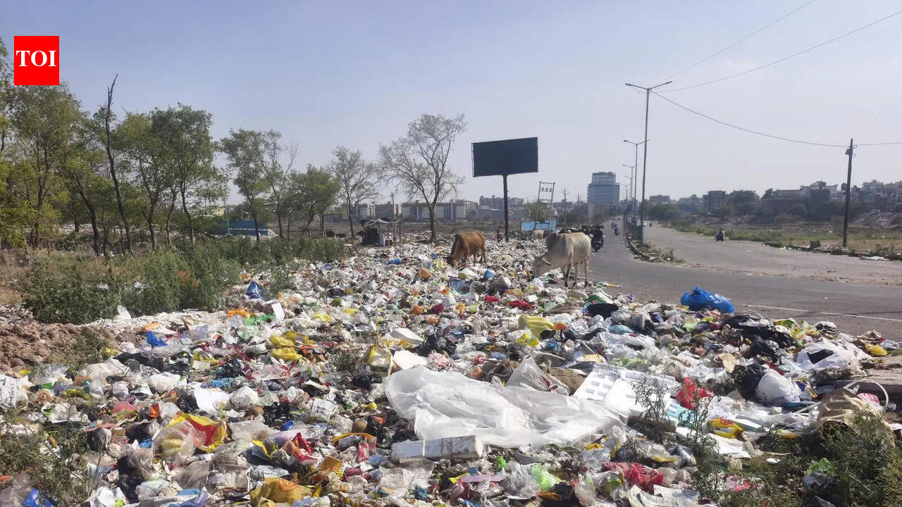 Garbage dumped on Peermuchalla road for 3 days, commuters hit