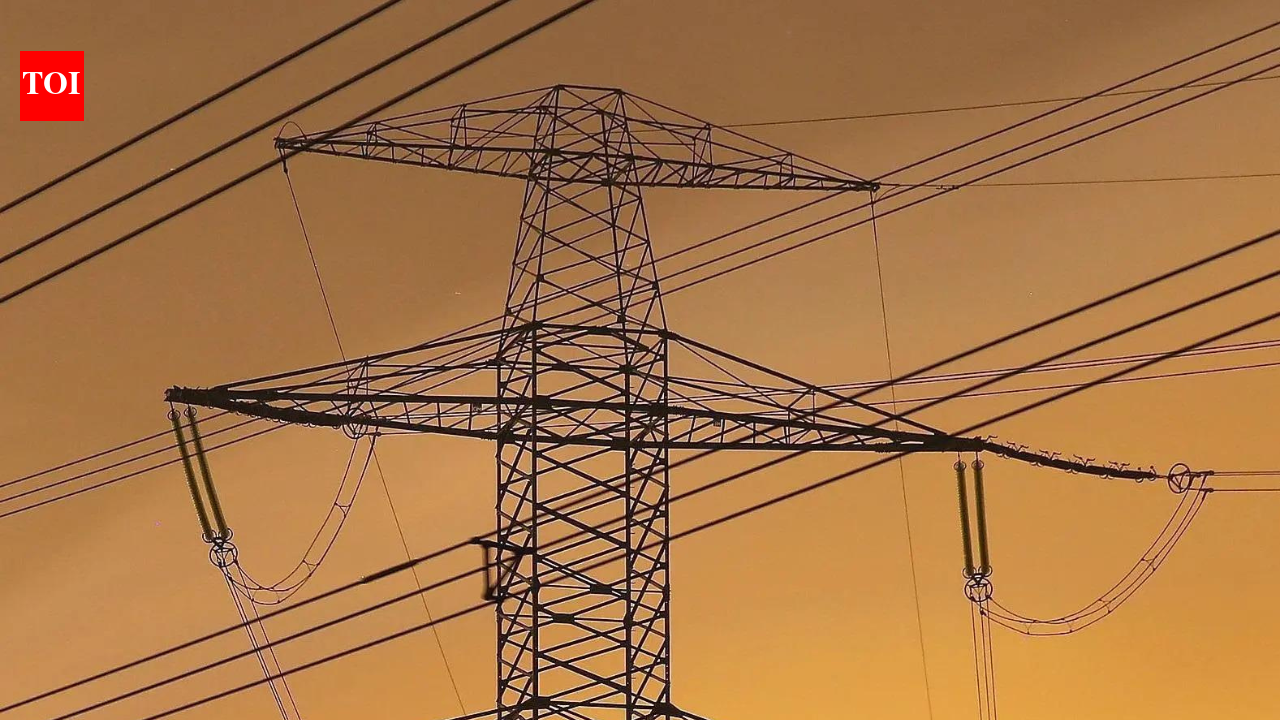 CEA proposes sharp rise in fixed monthly power charges for consumers
