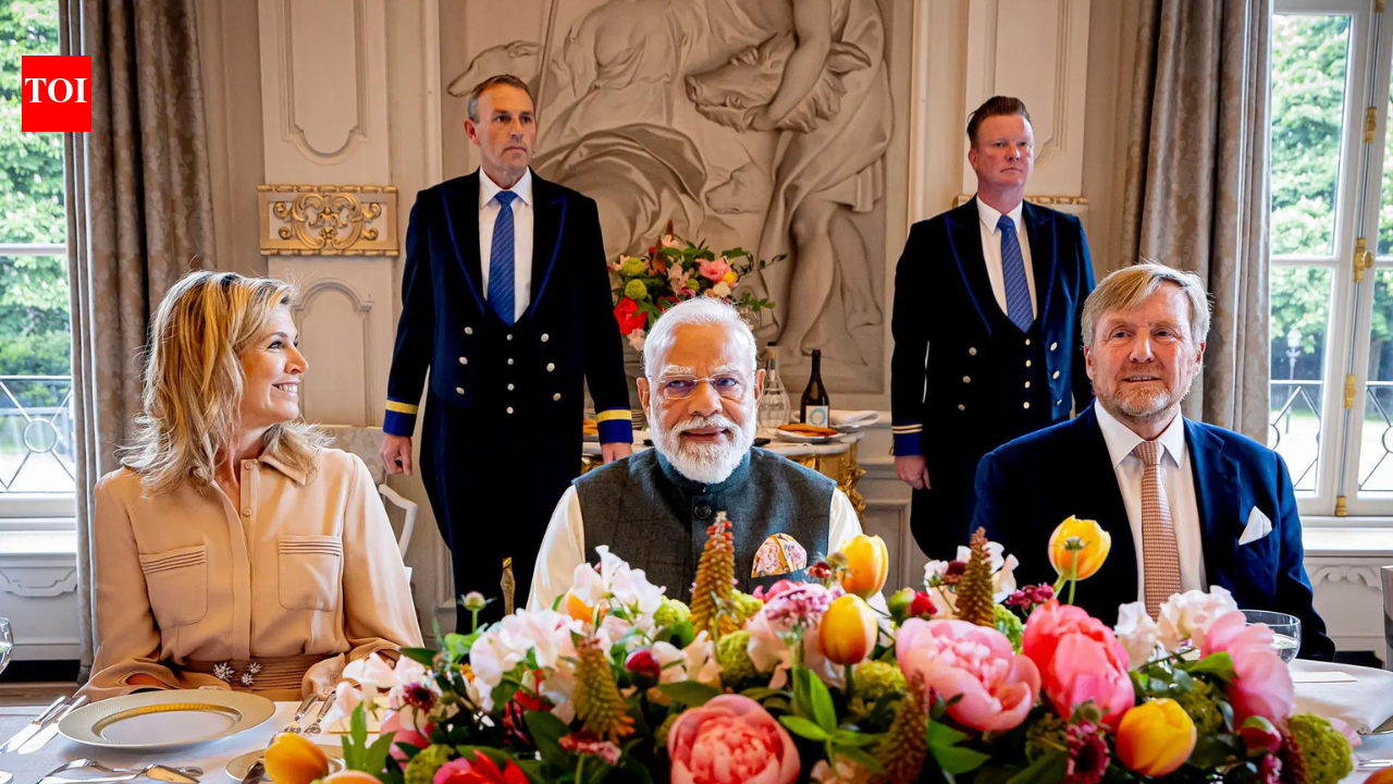 India, Netherlands upgrade ties, boost semiconductor partnership