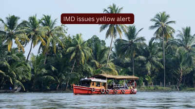 Kerala braces for more heavy rainfall as IMD issues yellow alert across several districts; what travellers need to know