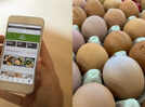 Poor quality eggs being sold online: FSSAI seeks detailed explanation from e-commerce and how it is going to help customers