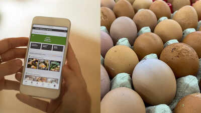 Poor quality eggs being sold online: FSSAI seeks detailed explanation from e-commerce and how it is going to help customers