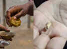 Bone found in Panipuri: 5 measures to take while eating Panipuri on street and 8 types of pani you can make at home