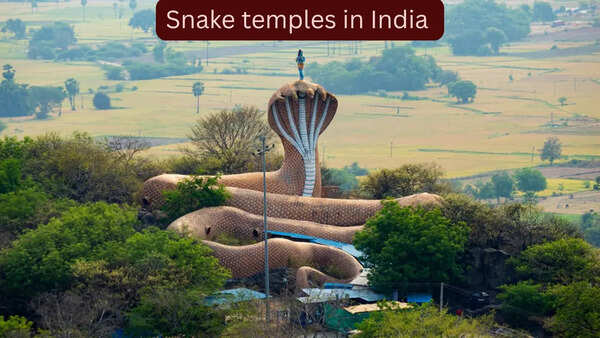 5 snake temples in India that attract thousands of devotees and curious travellers every year