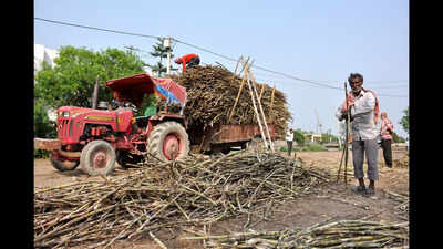 Erratic weather ravages crops, fruit trade